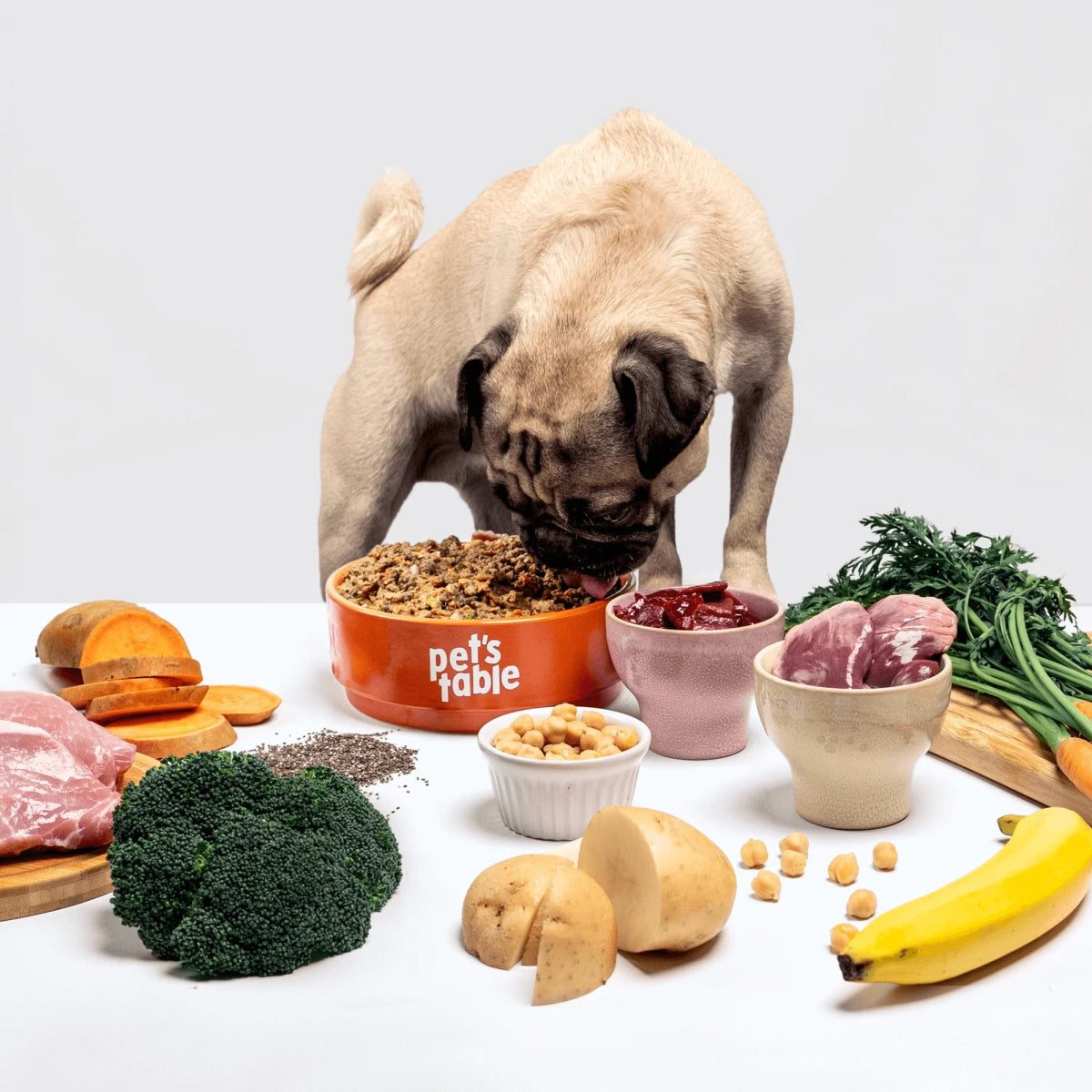 Pug comiendo Tasty Piggy junto a sus ingredientes